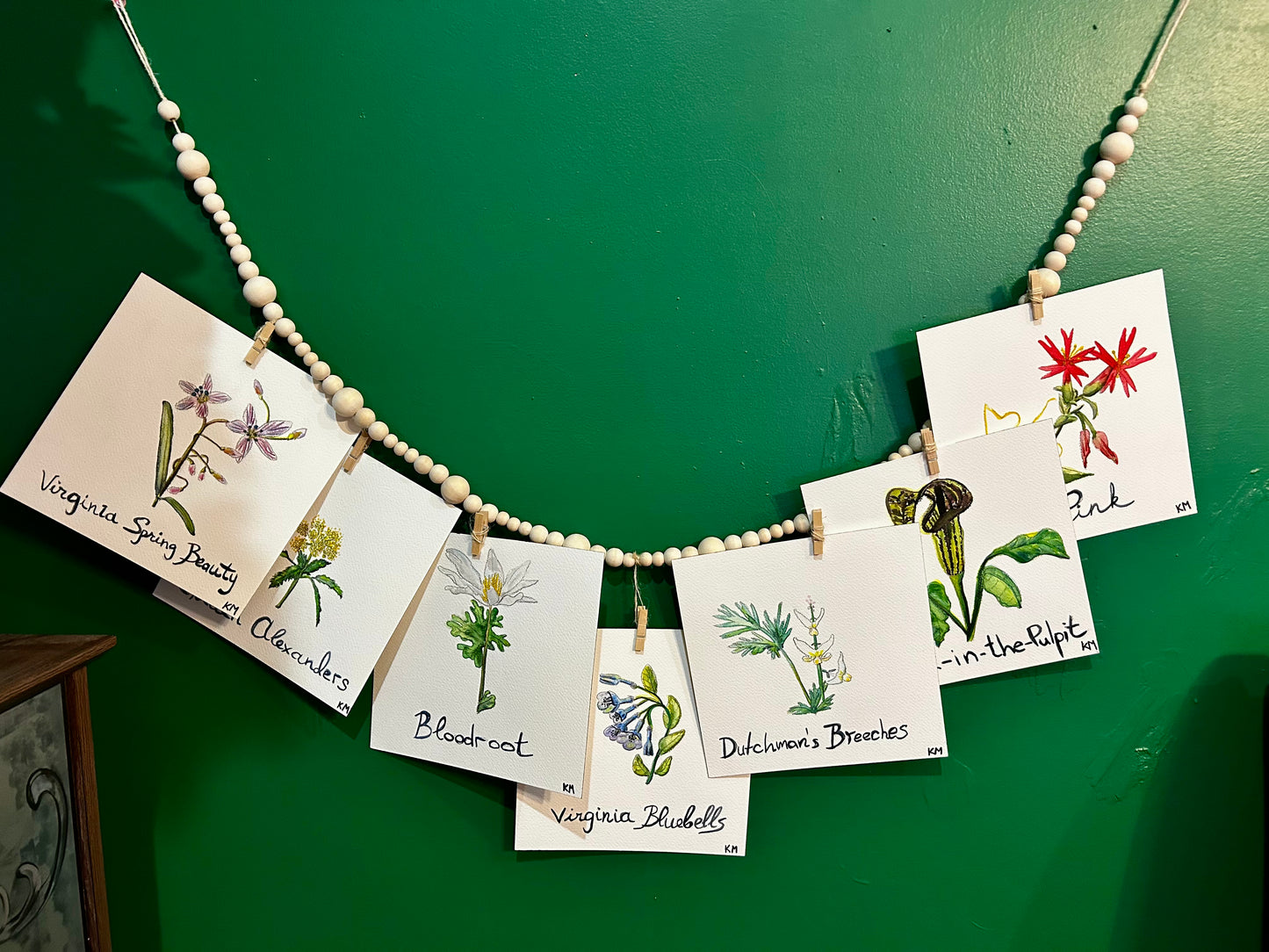 "The Virginia Garden" | Original Watercolor Collection (Set of 7)