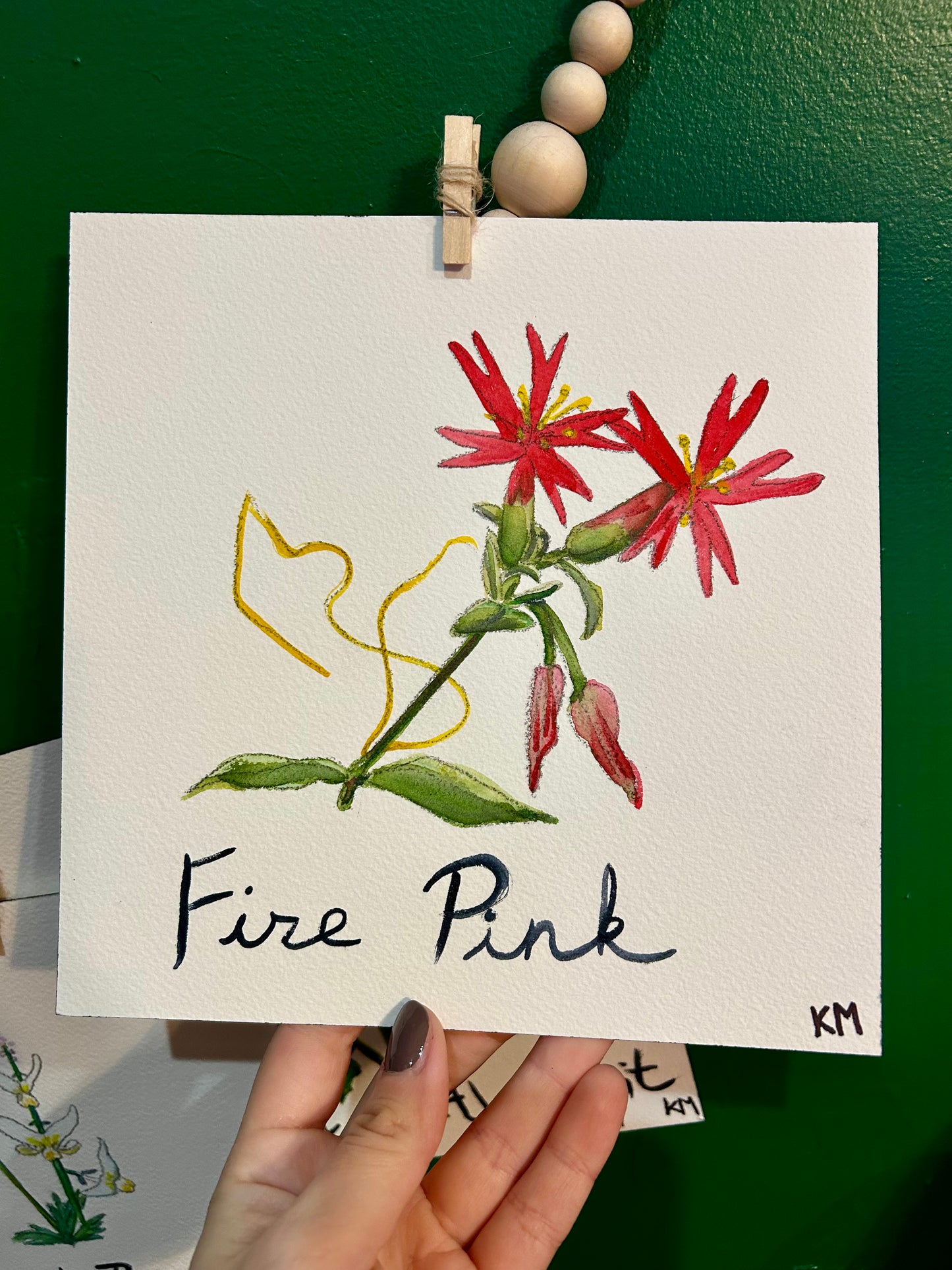 "The Virginia Garden" | Original Watercolor Collection (Set of 7)