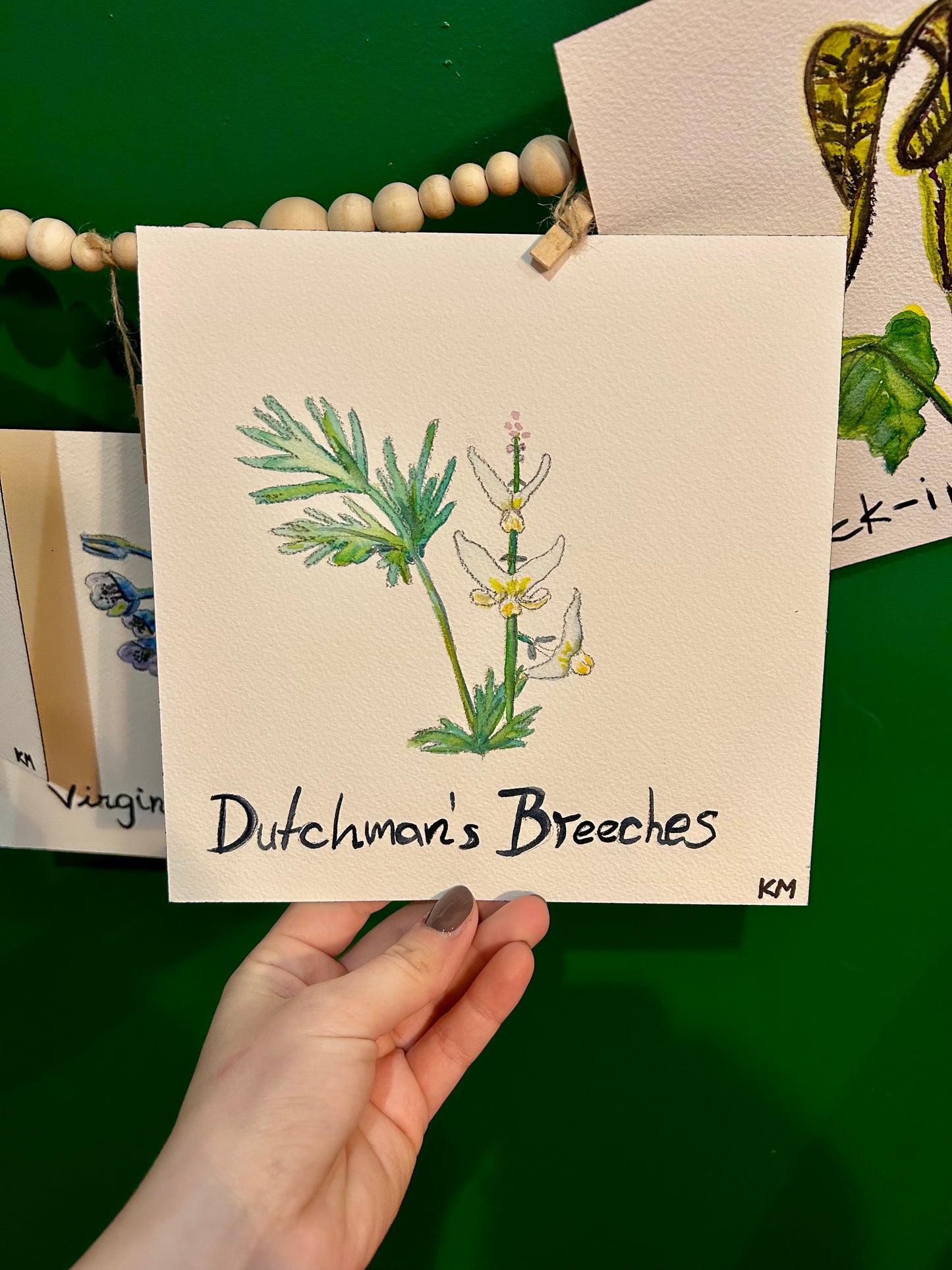 "The Virginia Garden" | Original Watercolor Collection (Set of 7)