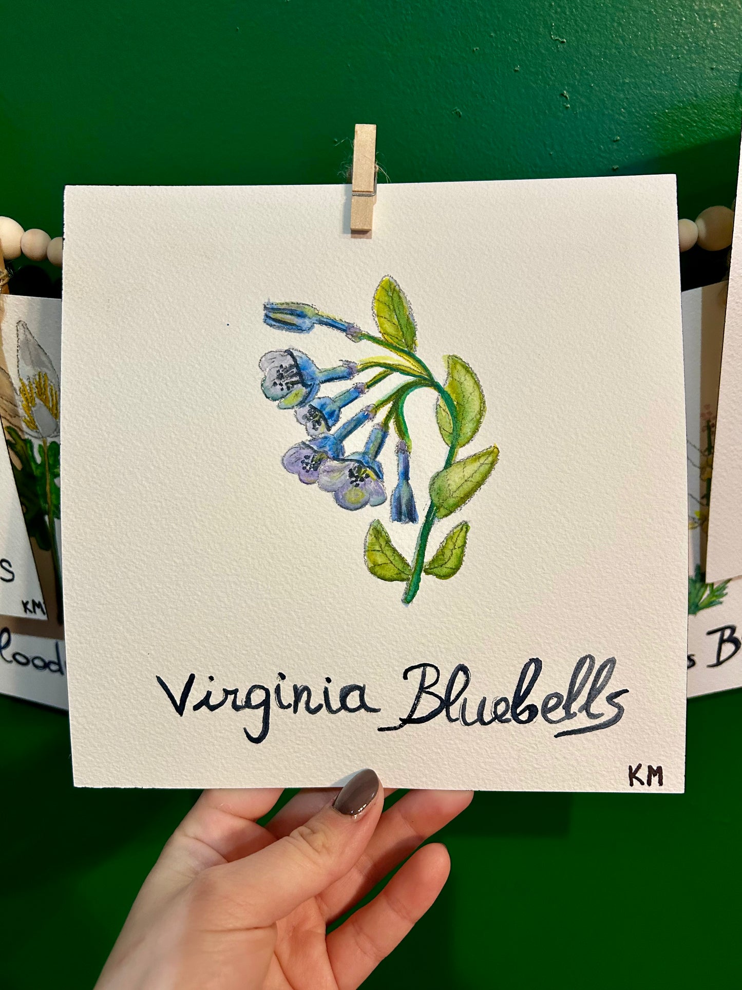 "The Virginia Garden" | Original Watercolor Collection (Set of 7)