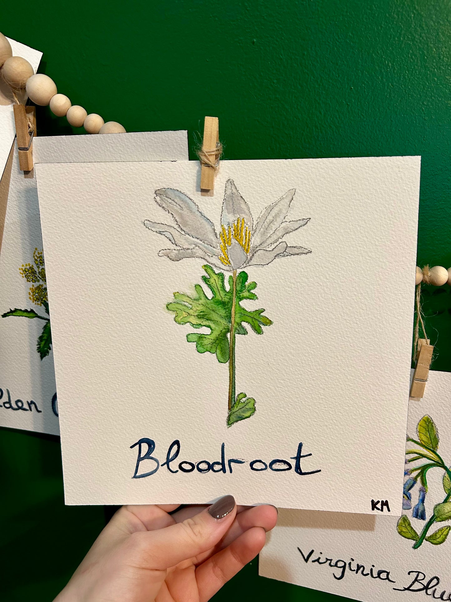 "The Virginia Garden" | Original Watercolor Collection (Set of 7)