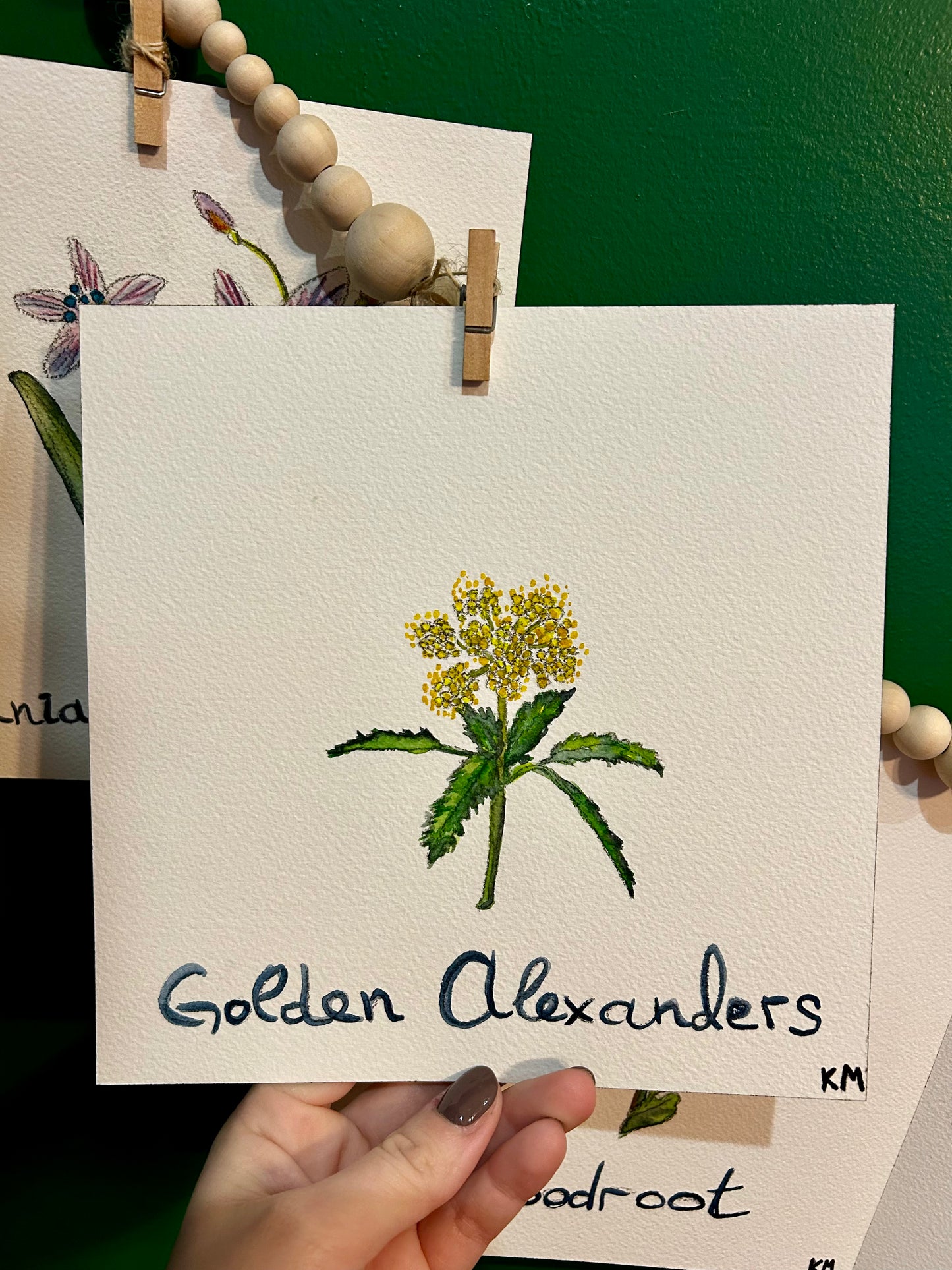 "The Virginia Garden" | Original Watercolor Collection (Set of 7)