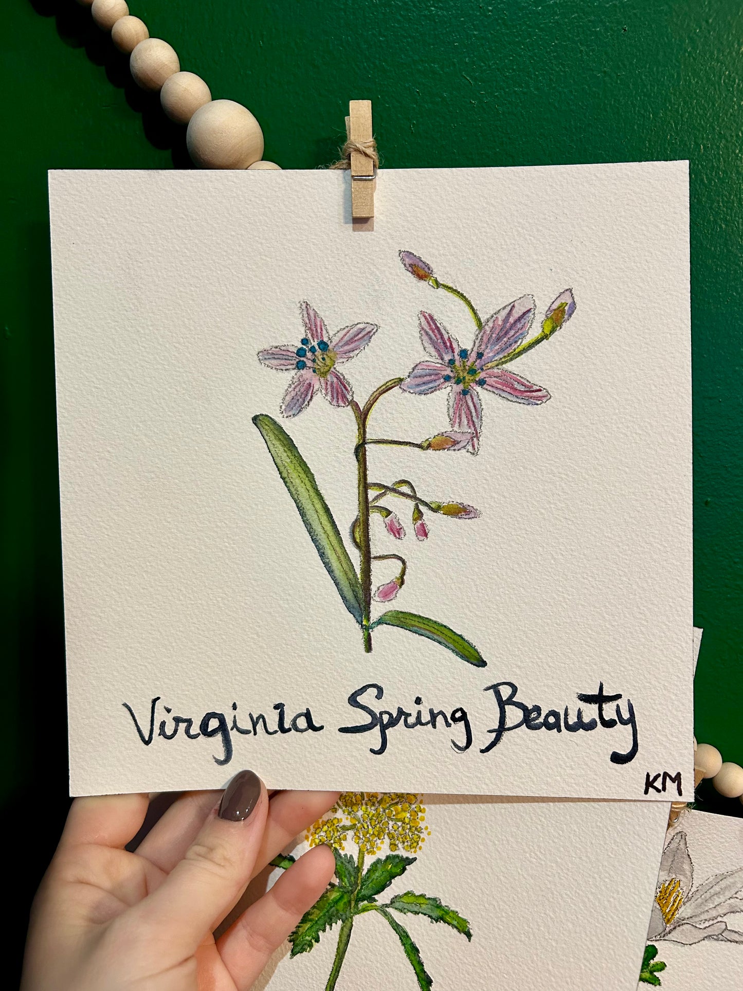 "The Virginia Garden" | Original Watercolor Collection (Set of 7)