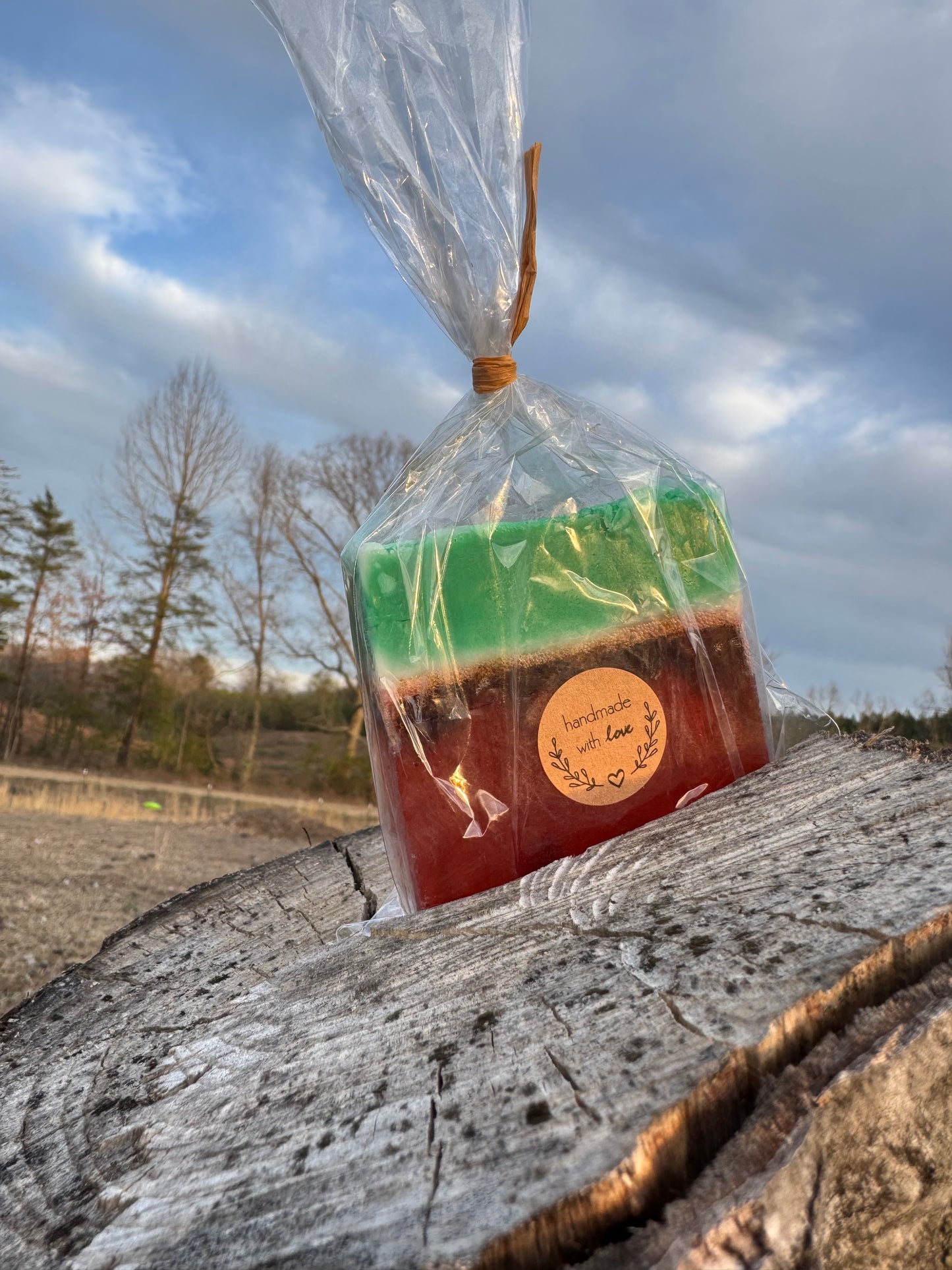 Summer Slice: Watermelon Rose & Goat Milk Soap