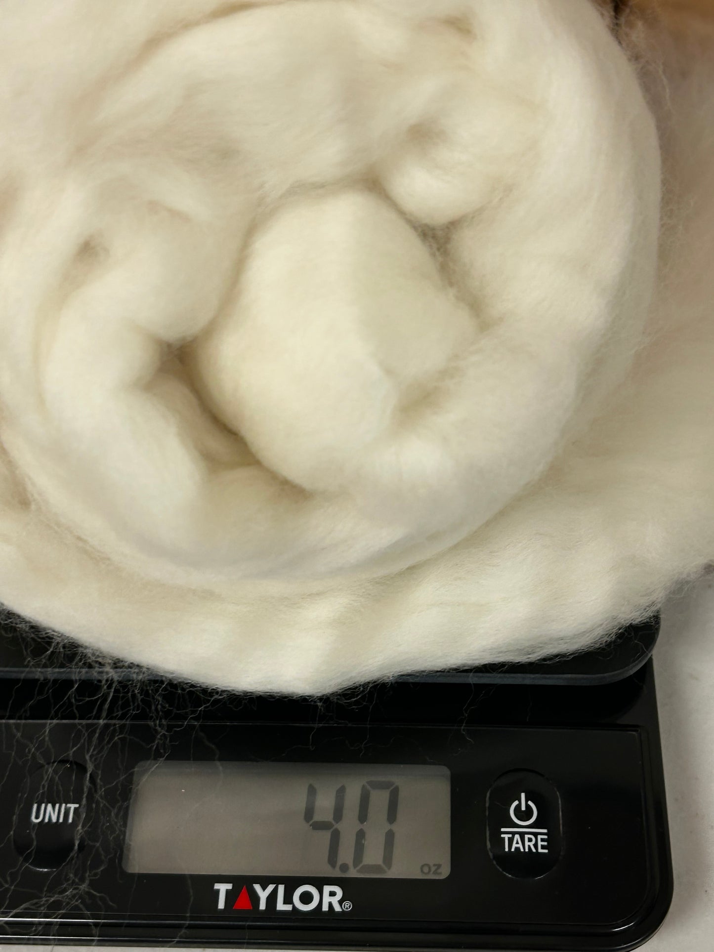 A scale weighing 4 ounces of super fine merino wool roving ready to be used for spinning yarn or felting 