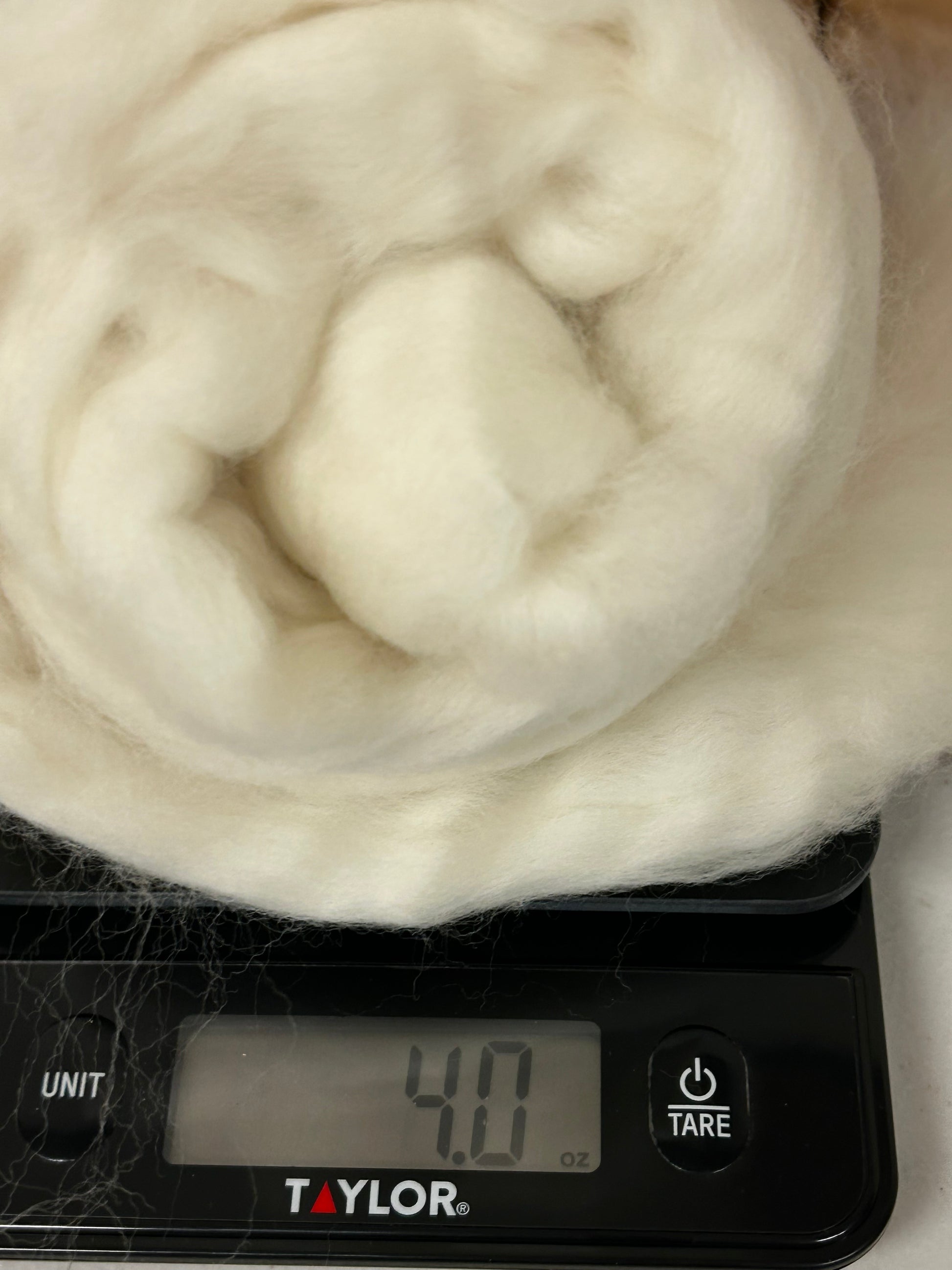 A scale weighing 4 ounces of super fine merino wool roving ready to be used for spinning yarn or felting 